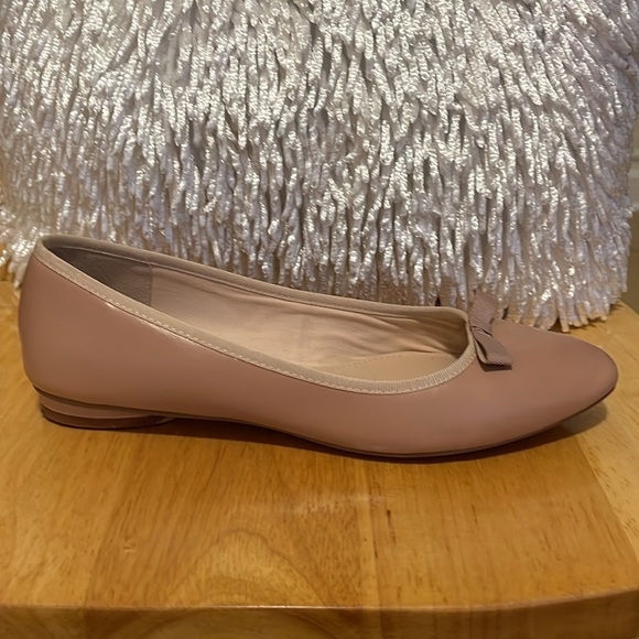 9.5 Flat shoe (Pointy) ELEGANT - Picture 3 of 6